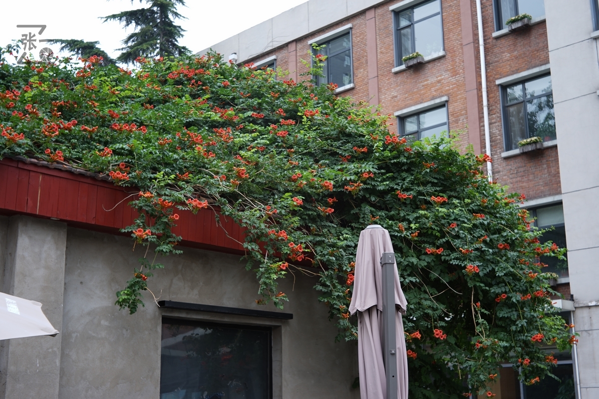 适合索尼a7m4的50定焦镜头测评,索尼a7m4镜头24-105f4测评