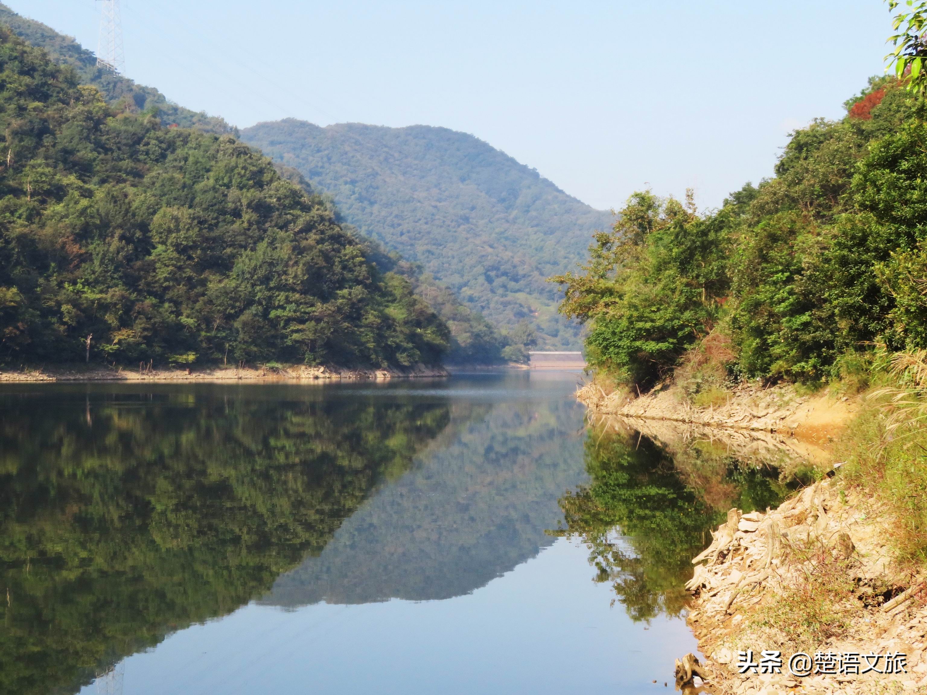 盛产杨梅而闻名的县是哪里,杨梅之乡余姚在什么省