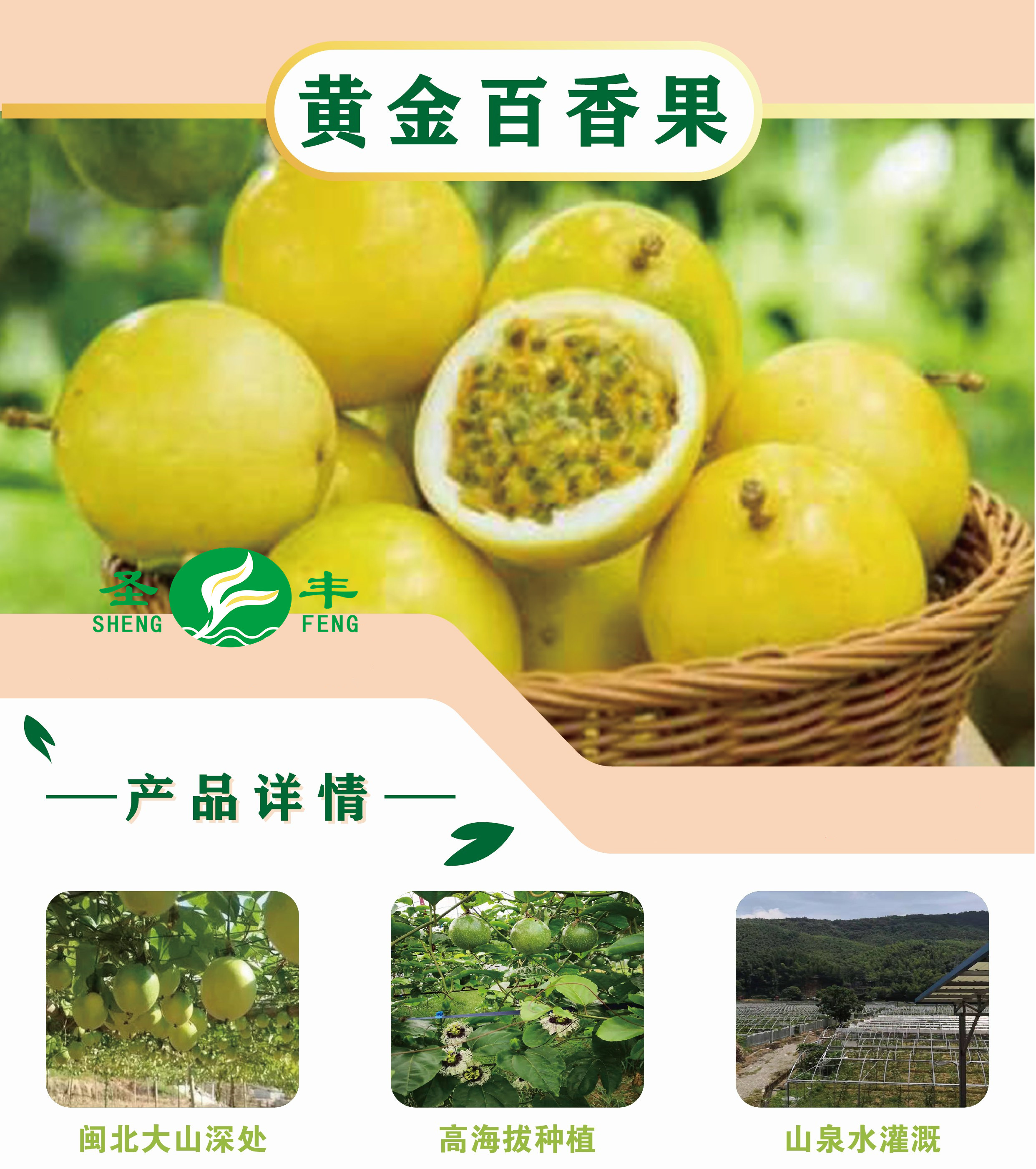 延平黄金百香果香甜多汁致富福果｜福建省【全国名特优新农产品】