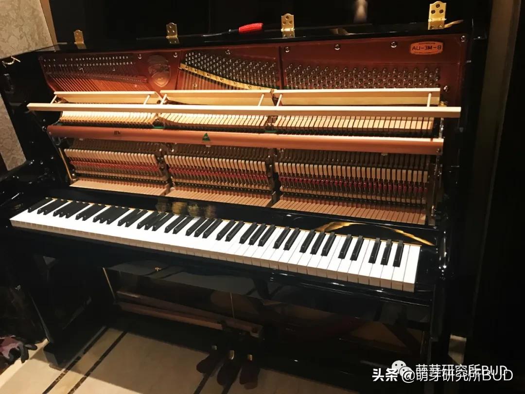 閽㈢惔鐢靛瓙鐞寸數閽㈢惔鍖哄埆,閽㈢惔鐢靛瓙鐞寸數閽㈢惔鍝釜濂藉