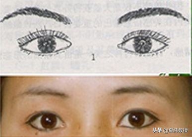 最美的眼睛形状,眼睛是什么样的形状才好看