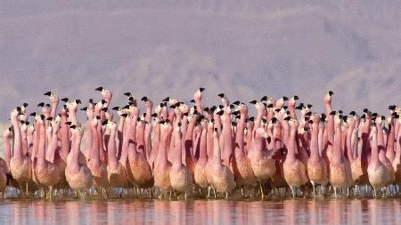 bbc糟糕历史,bbc纪录片糟糕历史