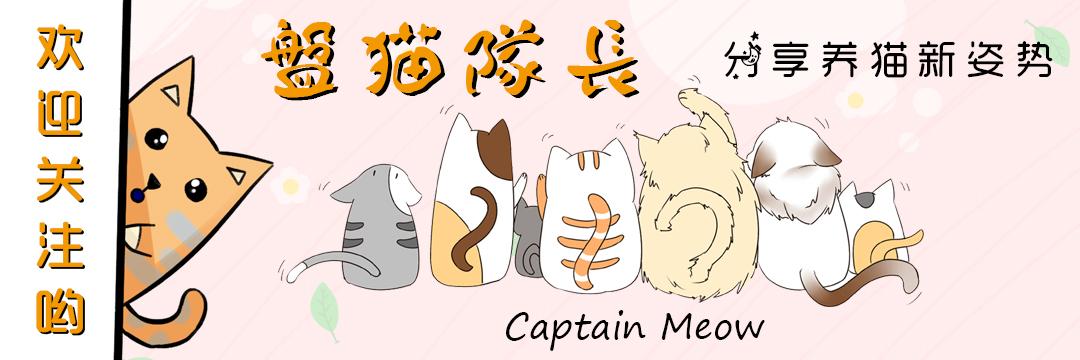 油爪猫是什么猫,油爪子猫