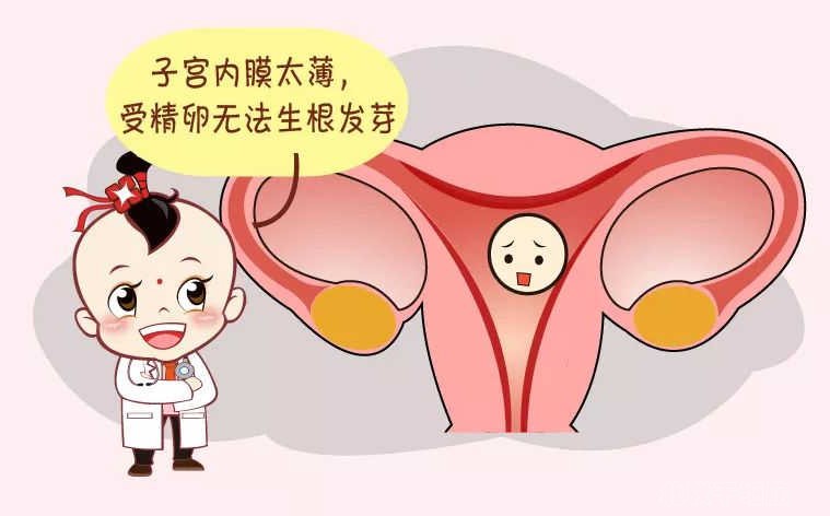 子宫内膜薄可以试管吗,子宫内膜薄怎么办能做试管吗