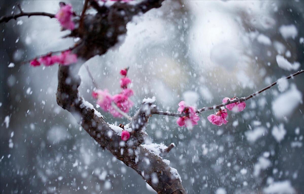 如何才能彻底改变自己变？请做到以下4点