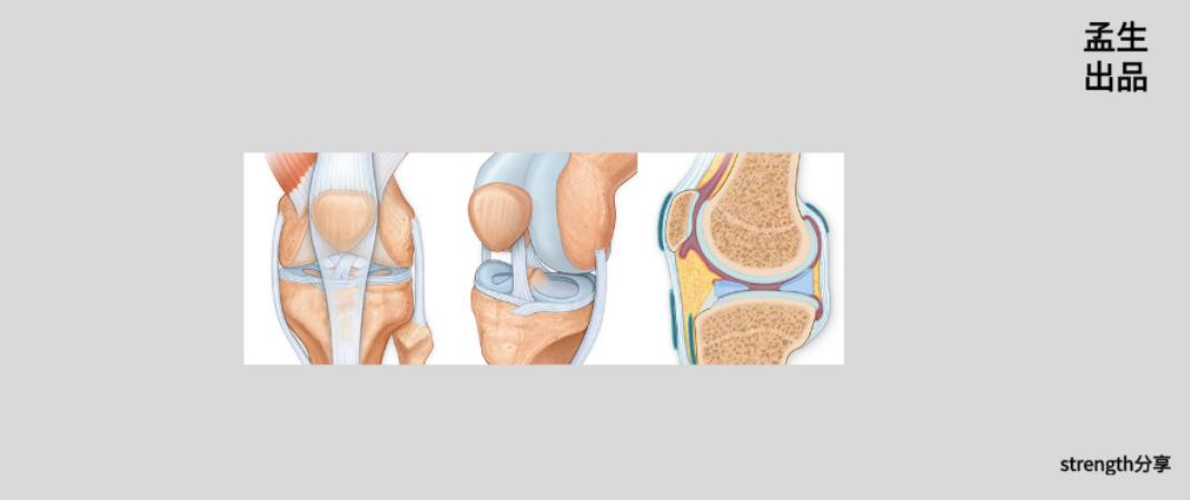恶名昭彰介绍,恶名昭著劳伦斯