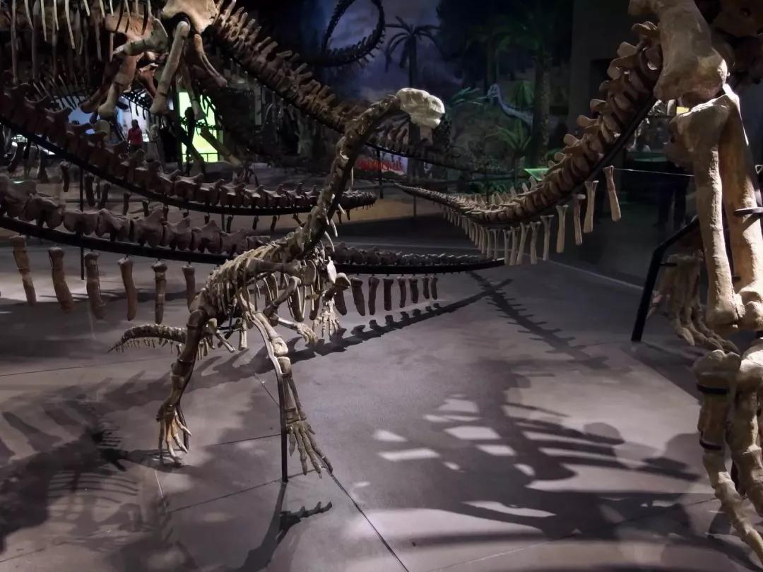 天津游玩攻略小众景点大全,天津免费景点游玩攻略大全