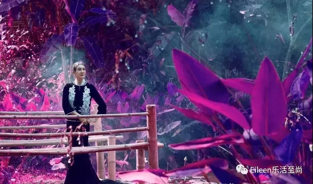 寰愬厠鍜屽瀛愭柦鍗楃敓鐖辨儏鏁呬簨,寰愬厠涓庡墠濡绘柦鍗楃敓