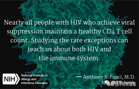 病毒检测不到但是cd4不高,病毒载量低但cd4却涨不起来