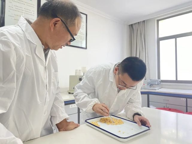 中储粮责任与担当,中储粮公司的职责和使命