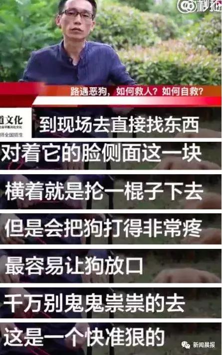 遛狗不牵绳算野狗吗,遛狗不牵狗绳咬伤别人怎么办