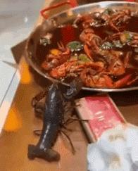 搞笑gif动图开心一刻,搞笑gif开心视频