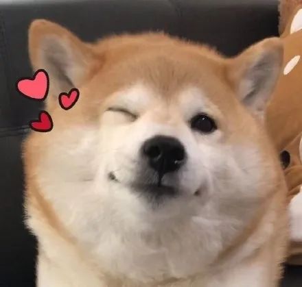 太牛了！2020最全郑州通讯录出炉！有了它走遍郑州都不怕