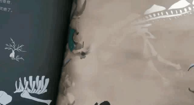 黄磊孩子绘本,黄磊推荐国外很火的绘本