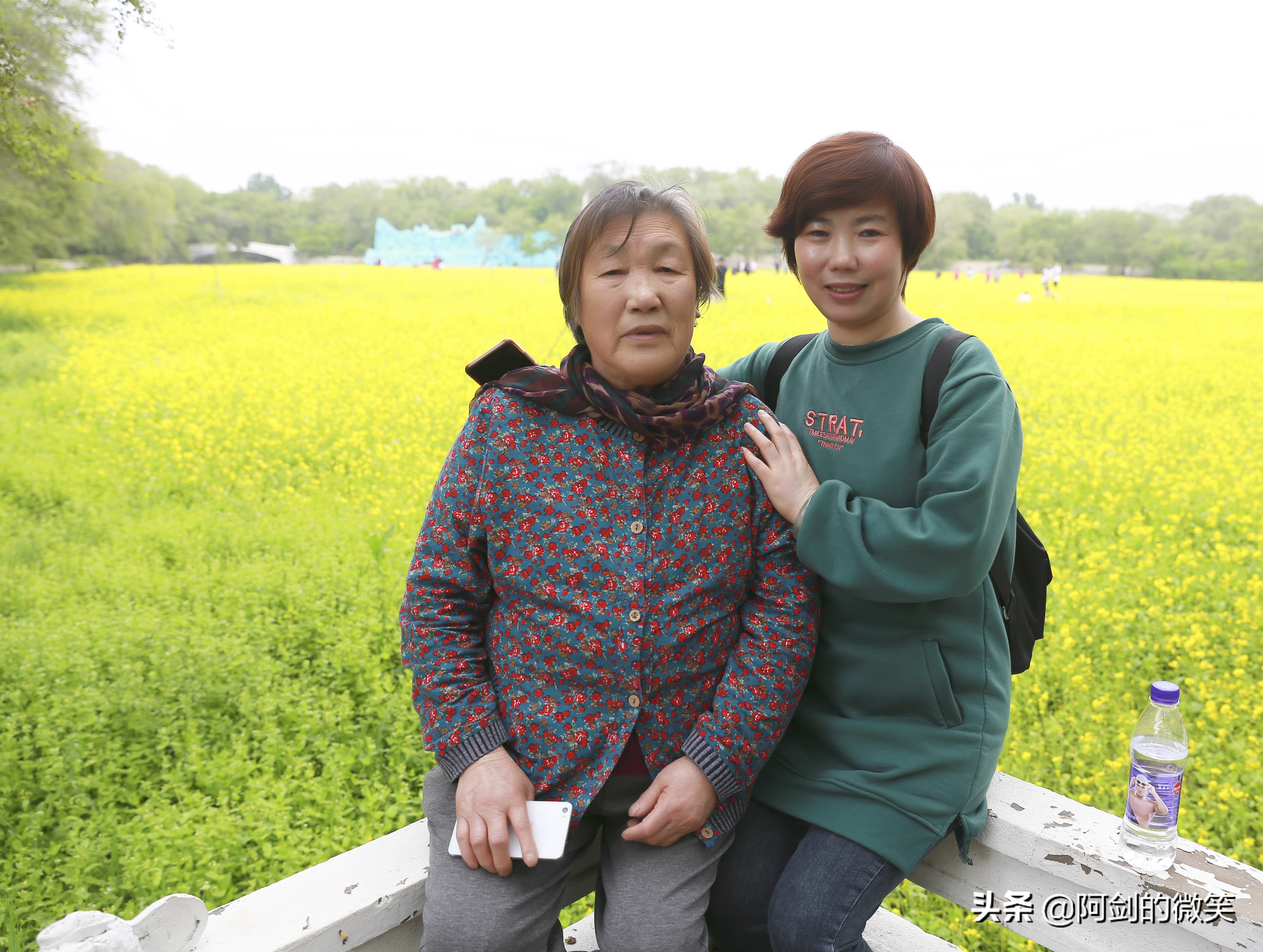 沈阳十一假期哪里有花海,沈阳玫瑰小镇温泉花海两日游