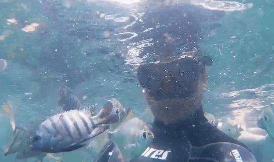 在死海沉浮，探秘无人岛，真正的航海生活比书里精彩一百倍