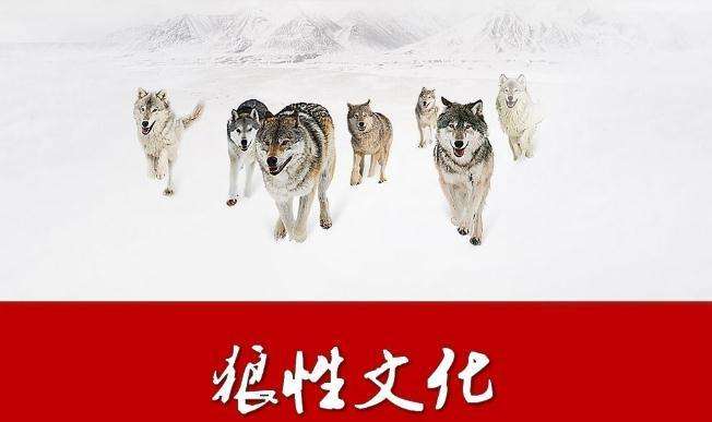 华为出来的人能力很强吗,进入华为的人是不是很强