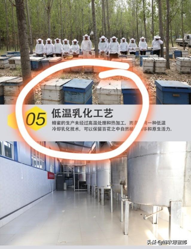 中蜂蜂蜜市场前景分析,蜂蜜行业发展前景及其风险