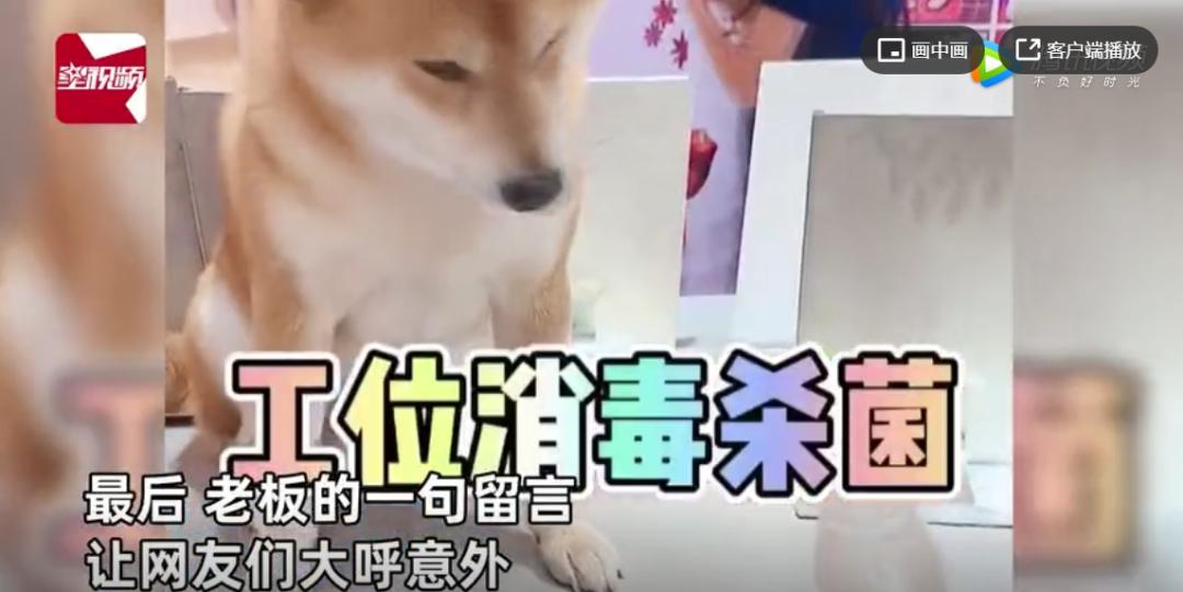 奶茶店请人经营赚钱吗,奶茶店请的员工多能挣钱吗