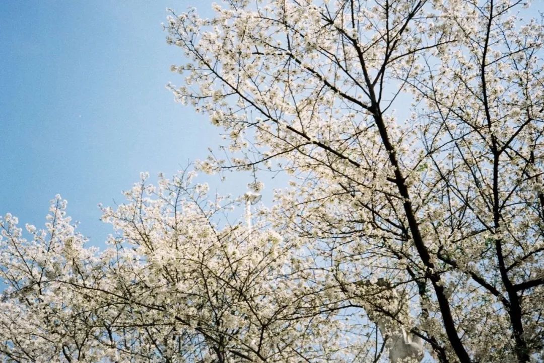 免洗消毒液洗手液官方正品,洗手液免冲洗