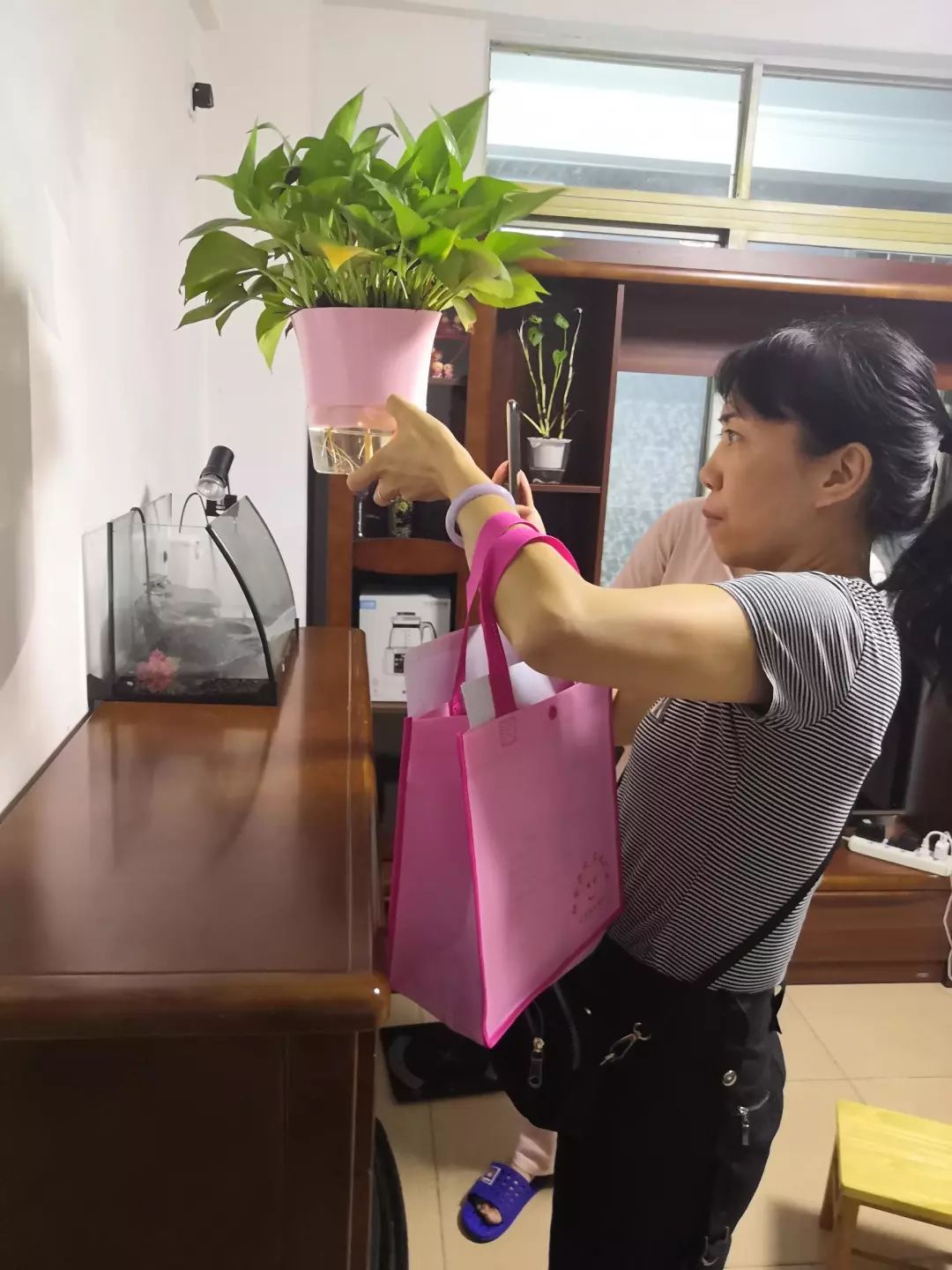 越秀|出现登革热相关症状,可到这些地方免费排查