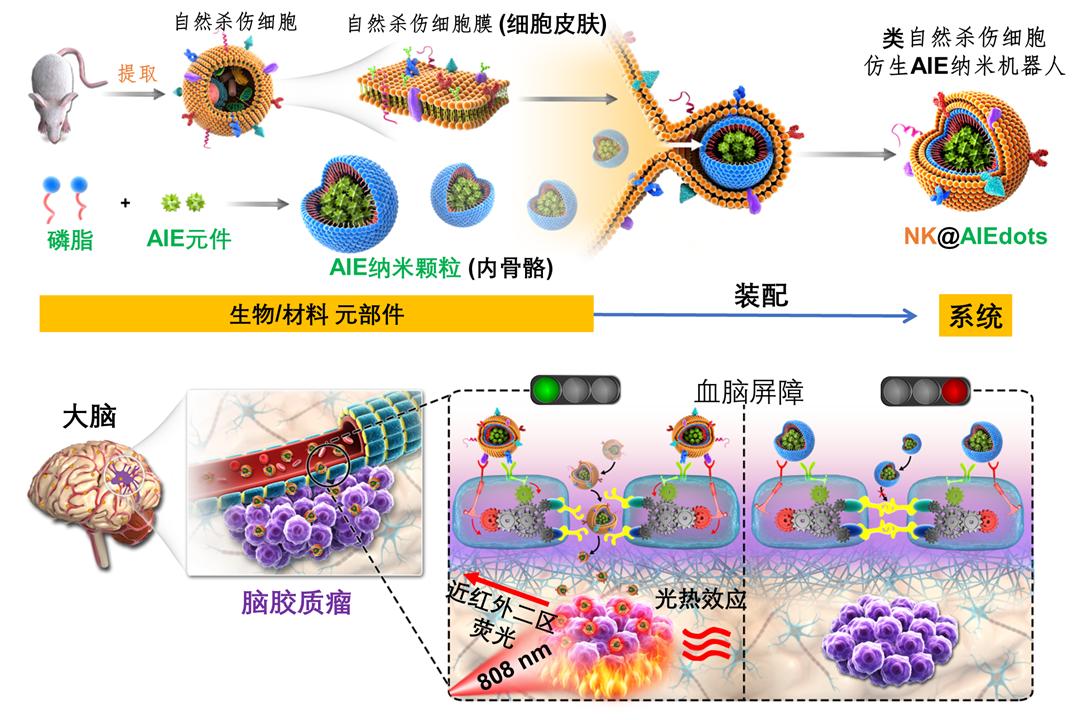 纳米机器人从基因层面治愈疾病,纳米机器人治疗大脑疾病最新消息