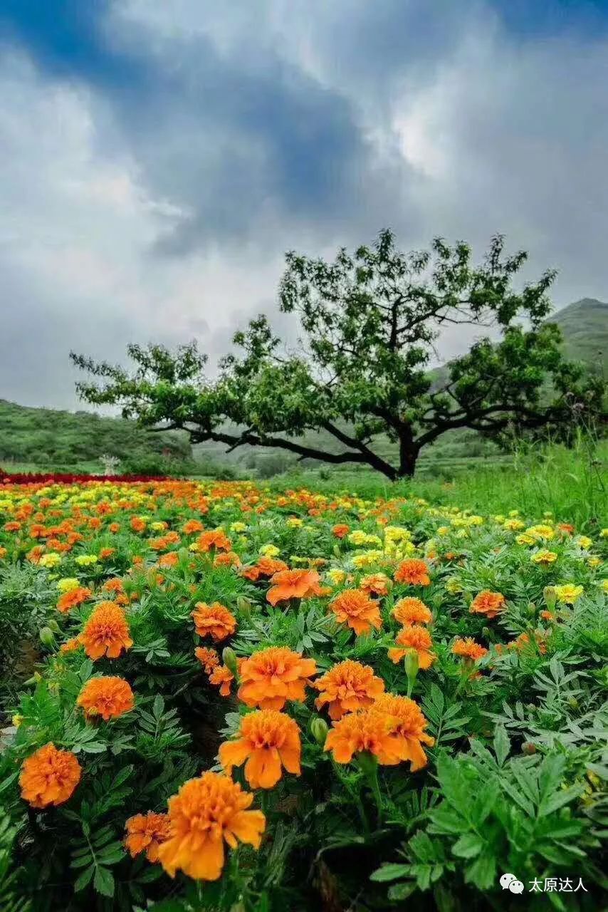 云泉谷峡谷漂流天空之境,云泉谷漂流一日游