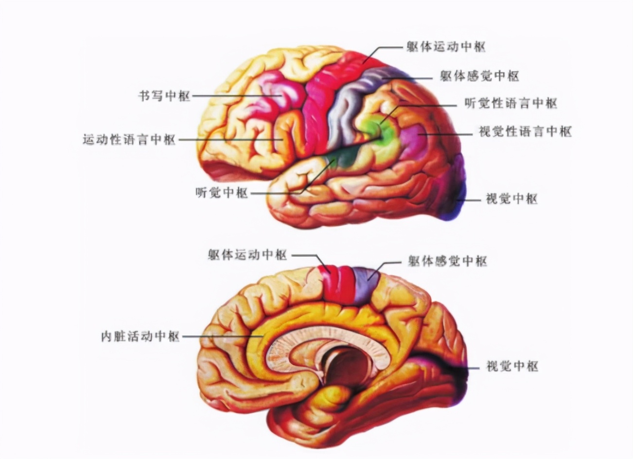 球王马拉多纳心脏骤停去世,马拉多纳因心脏骤停离世
