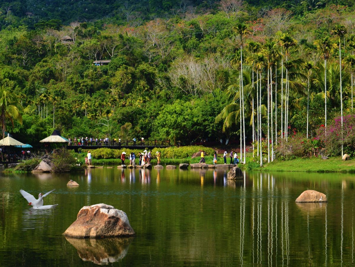 北纬18°海南,北纬十八度保亭