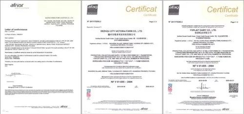 高端轻酪乳风味酸奶,正宗法式经典酸奶