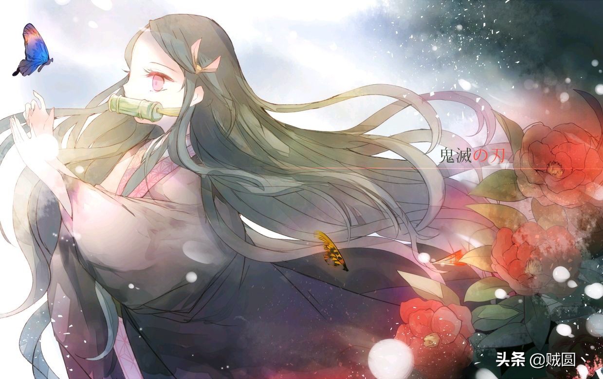 谈谈个人对动漫的看法,对动漫的看法和感悟