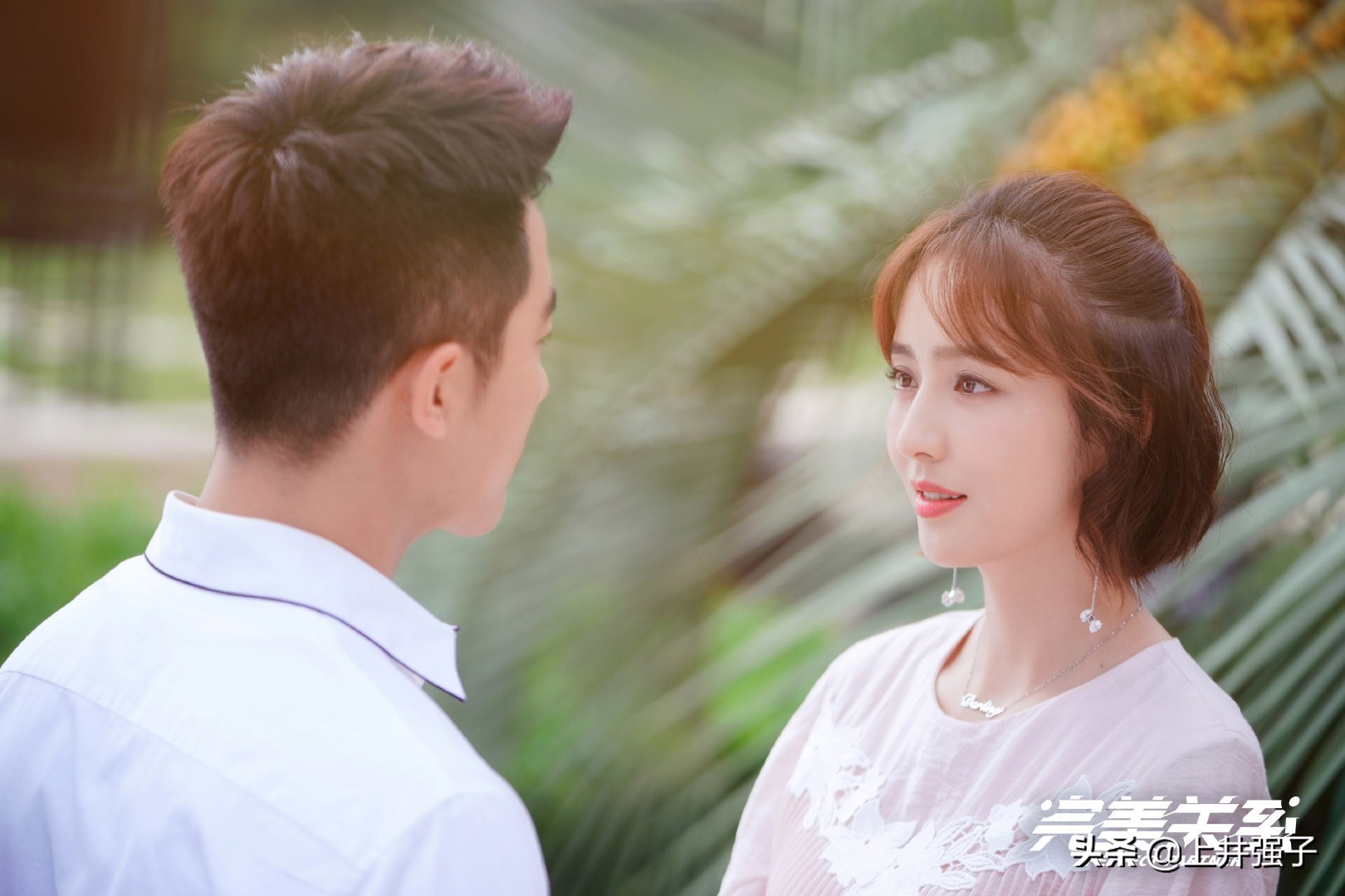 完美关系女演员排行榜,完美关系中八位女演员简介