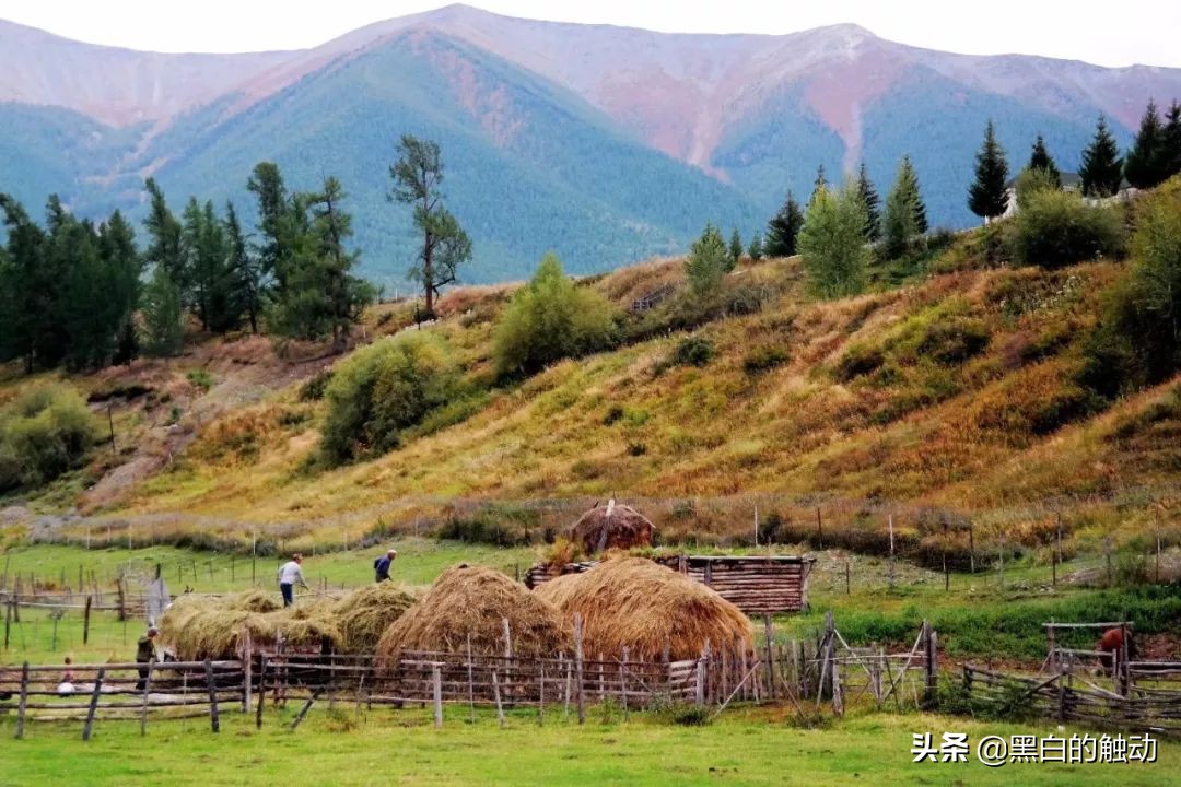 都说新疆好去新疆发展可靠么,都说新疆好地方