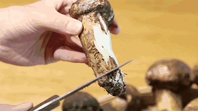 新鲜松茸的正确清洗方法图片,松茸正确的储存方法和清洗