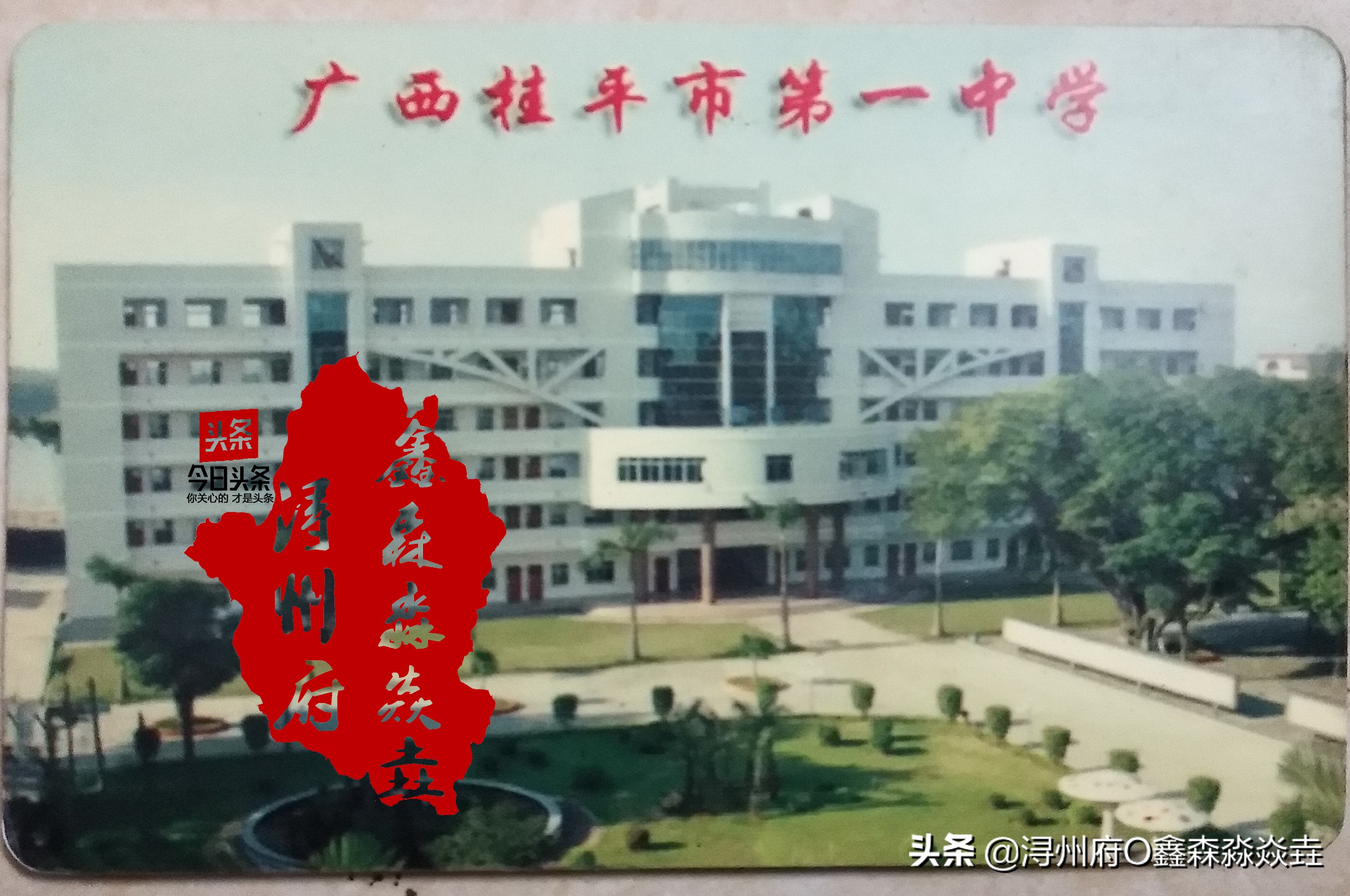 桂平浔州高中校友录,桂平市第一中学知名校友