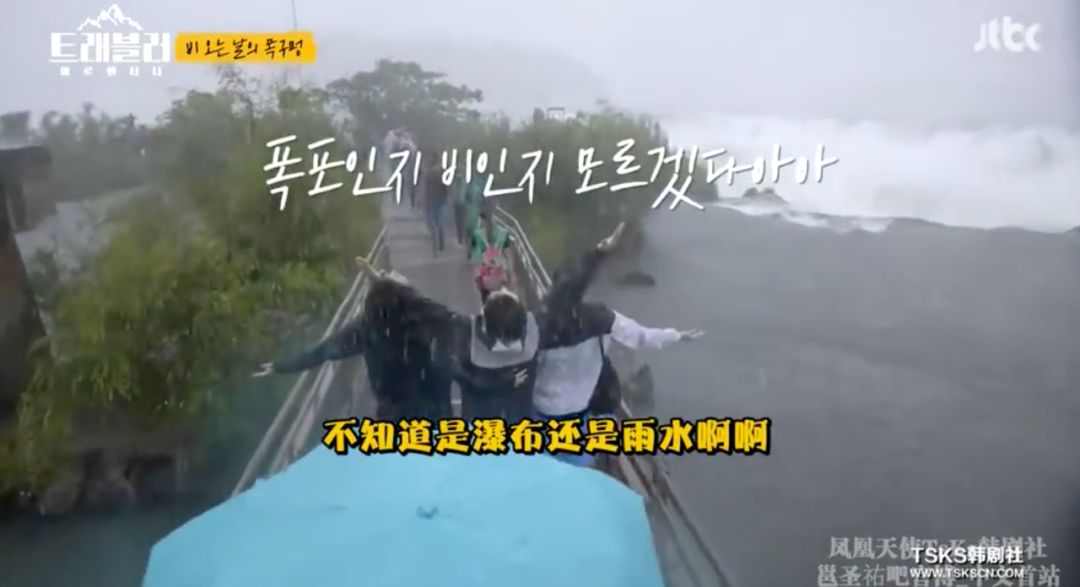 豆瓣9.6综艺,豆瓣9.5综艺