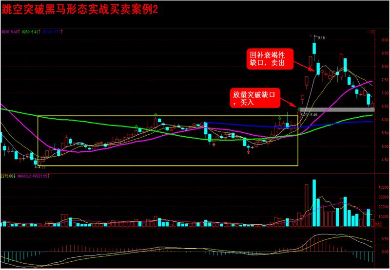 一招定乾坤之黑马选股公式,股票指标基础选股技巧详解