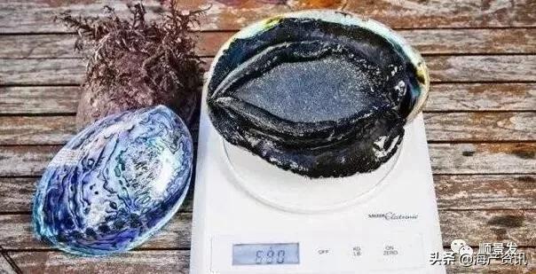 各国海鲜大盘点,今年过年最值得入手的海鲜