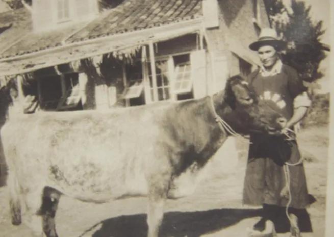 浓浓奶香,中华老字号卫岗