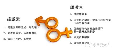 长姨妈痘吃什么调理,长了姨妈痘大概什么时候来姨妈