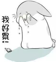 花姐”栽了!身高1米5的她带着“小弟”在富阳吃了3年霸王餐!