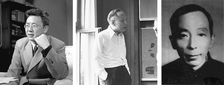 徐利治著作,数学家徐利治