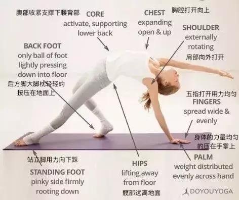 脾胃虚弱瑜伽调理,10个人9个脾虚