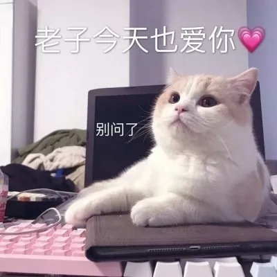 最好的天然猫粮,世界上最顶级的猫粮