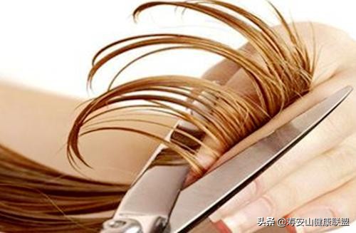 脱发断发方法,脱发掉发的福音