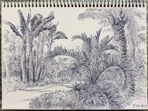 风景速写的好处,风景速写简单显高级