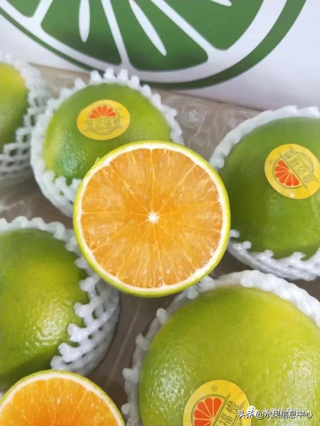 最好的橙子产地在哪里,中国橙子产地排名