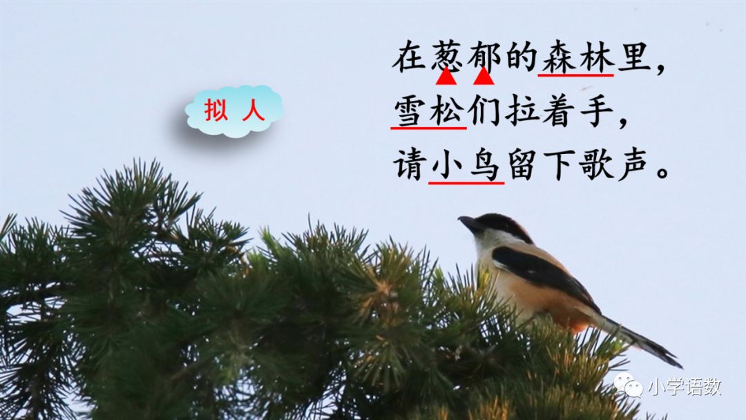二年级下册语文彩色的梦教学视频,二年级语文下册彩色的梦教材全解