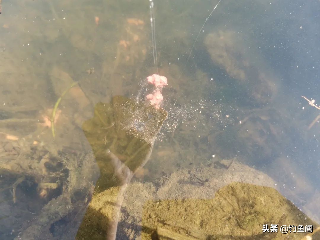 全能腥饵料真的好用么,全能腥香饵料测评