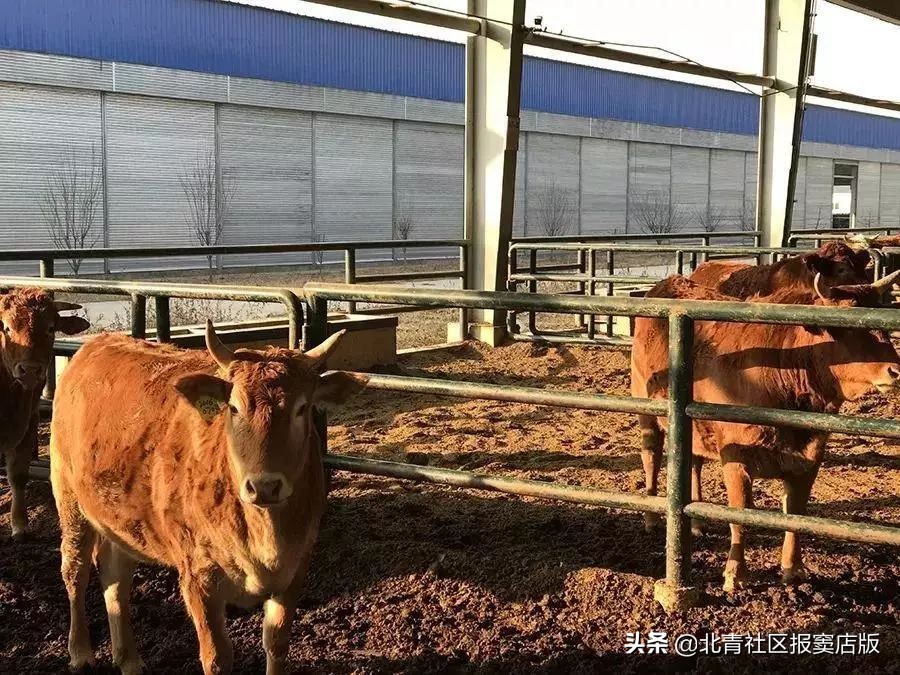 搜一搜就知道了,搜一搜商家会怎么样